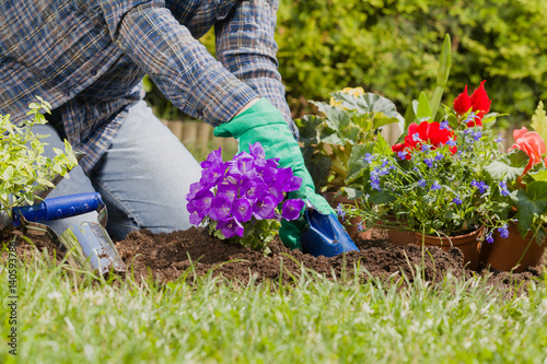 Planting flowers in the garden home
