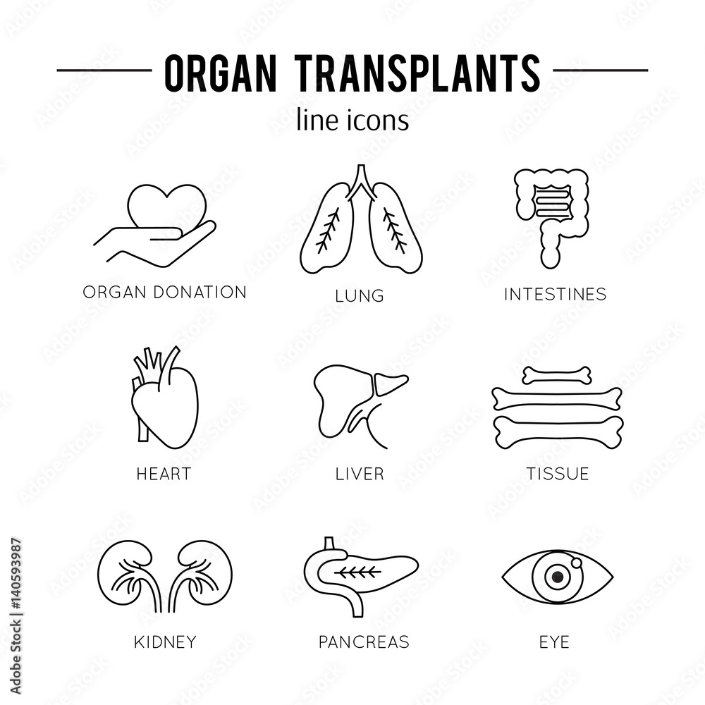 Organ Transplantation icon set Organ Transplantation icon set