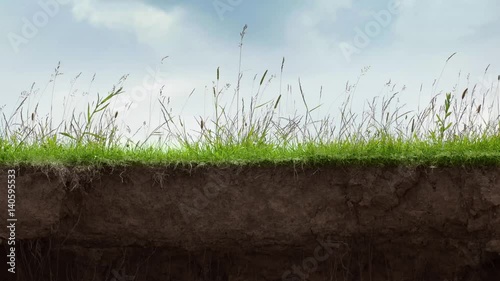 Cut the soil with grass growing on top