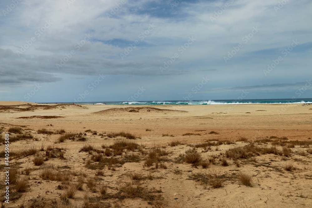   beach Santa Maria, Sal Island , CAPE VERDE













