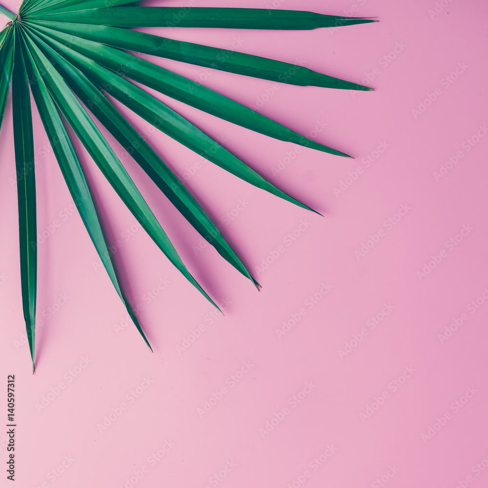Tropical leaves on pastel pink background. minimal concept. Flat lay. - obrazy, fototapety, plakaty 