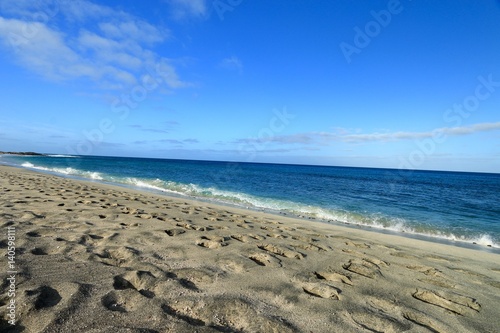   beach Santa Maria  Sal Island   CAPE VERDE                    