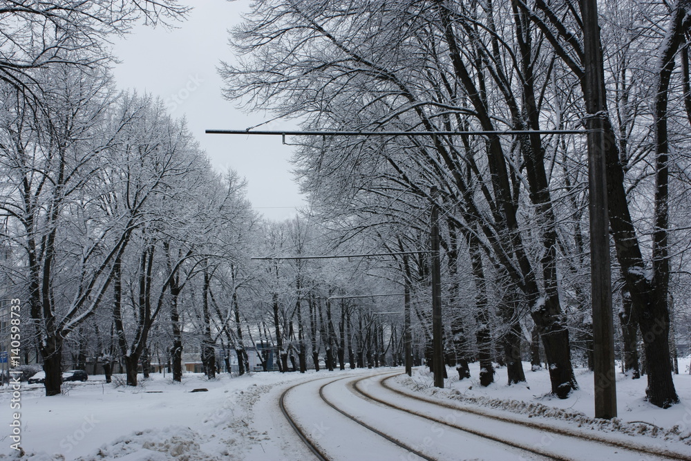 Beautiful winter trees in capital of Latvia - Riga.
