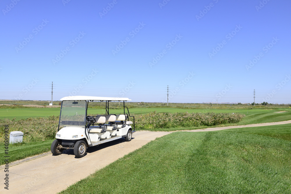 Golf cart in a golf course