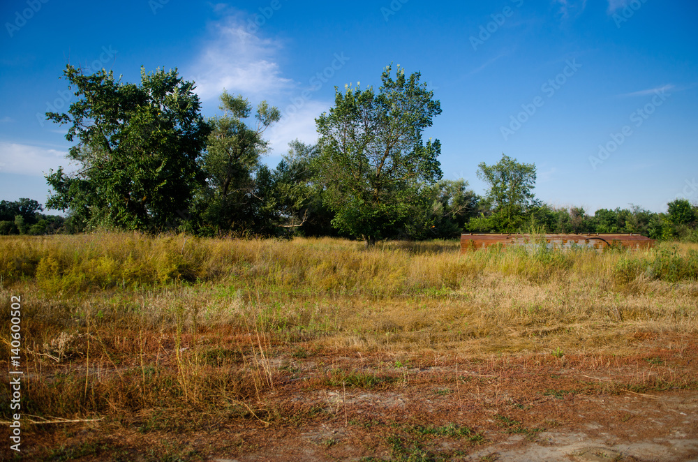 Landscape with tree, clear blue sky and abandon thing in yellow autumn field.
