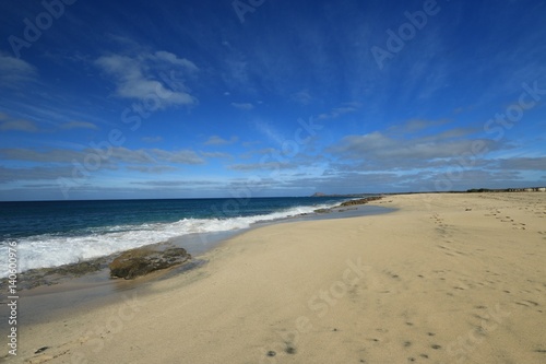  beach Santa Maria  Sal Island   CAPE VERDE              