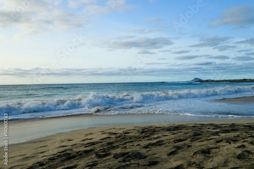  beach Santa Maria  Sal Island   CAPE VERDE          