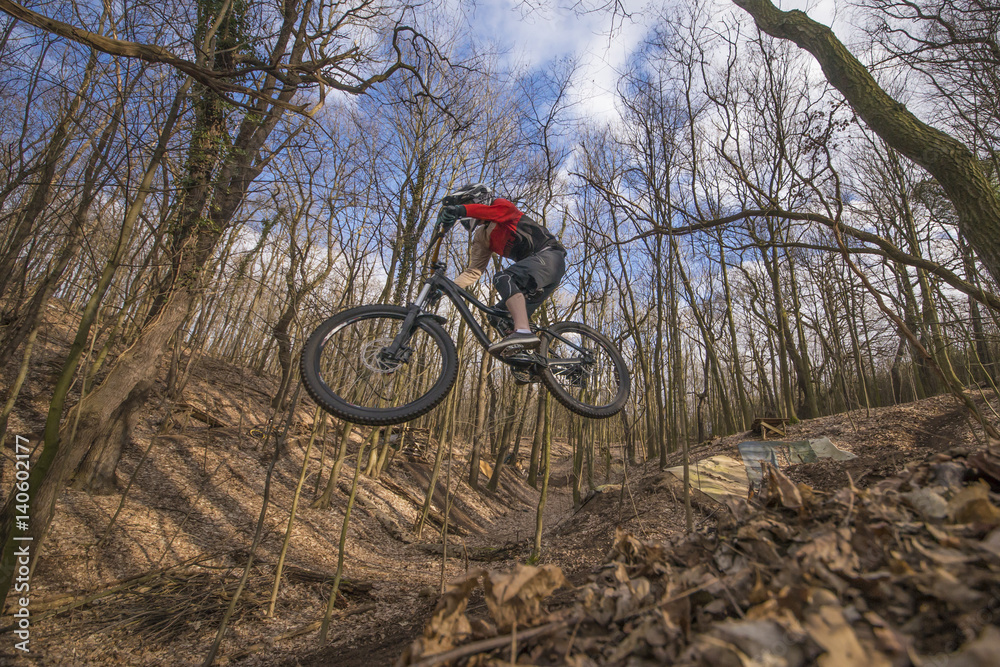 Naklejka premium Mountain biker 19