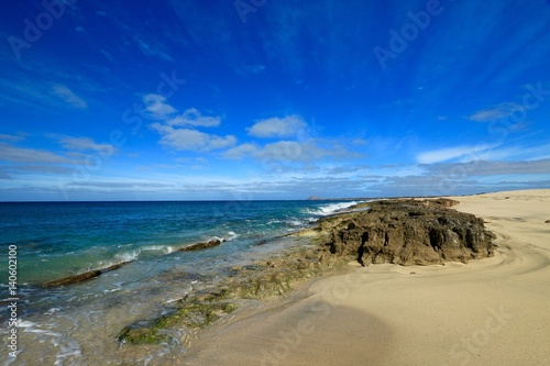Fototapeta Naklejka Na Ścianę i Meble -   beach Santa Maria, Sal Island , CAPE VERDE



