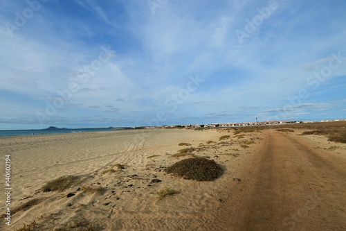  beach Santa Maria  Sal Island   CAPE VERDE        
