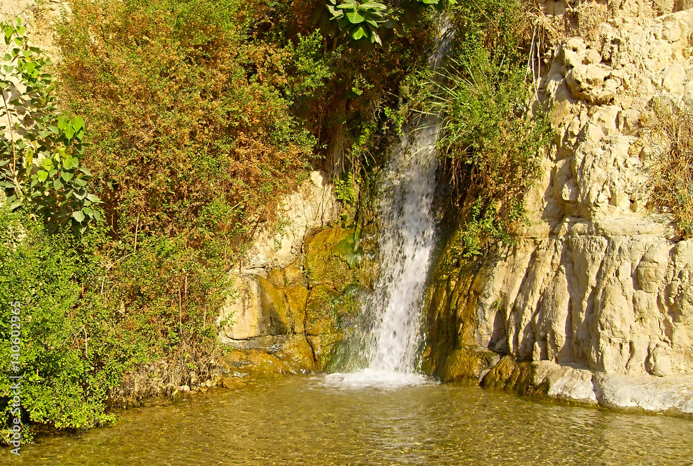 Obraz premium David's waterfall in Ein Gedi