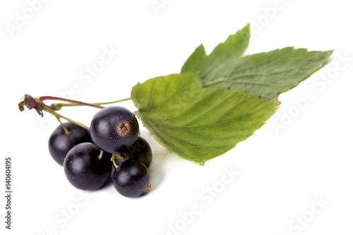 Black currant isolated on white background