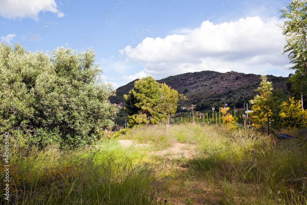View of countryside and hills near Pu√ßol Valencia