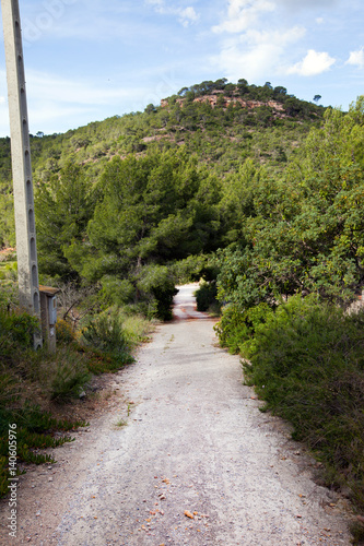 Rural road near Pu√ßol Valencia