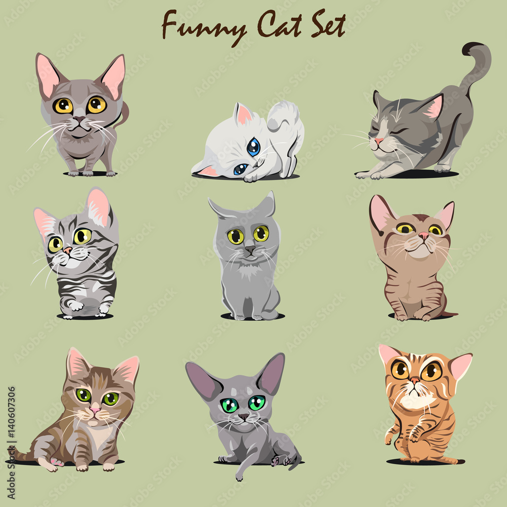 Funny Kitty Set