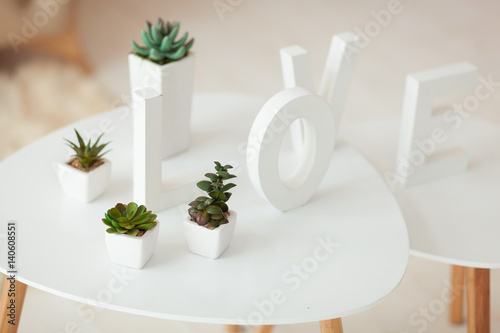 white letters on the interior volume background. Succulents in white pots stand on a table