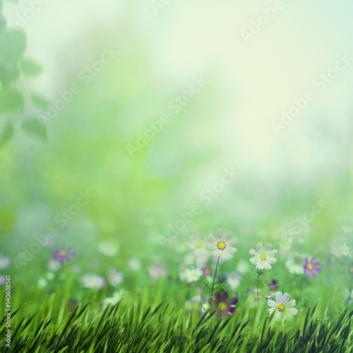 Beauty summer meadow with blooming flowers, seasonal abstract backgrounds