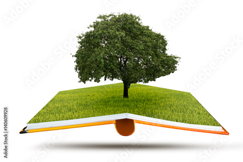 Open book Concept of life. Big alone tree in the field. Tree of life.