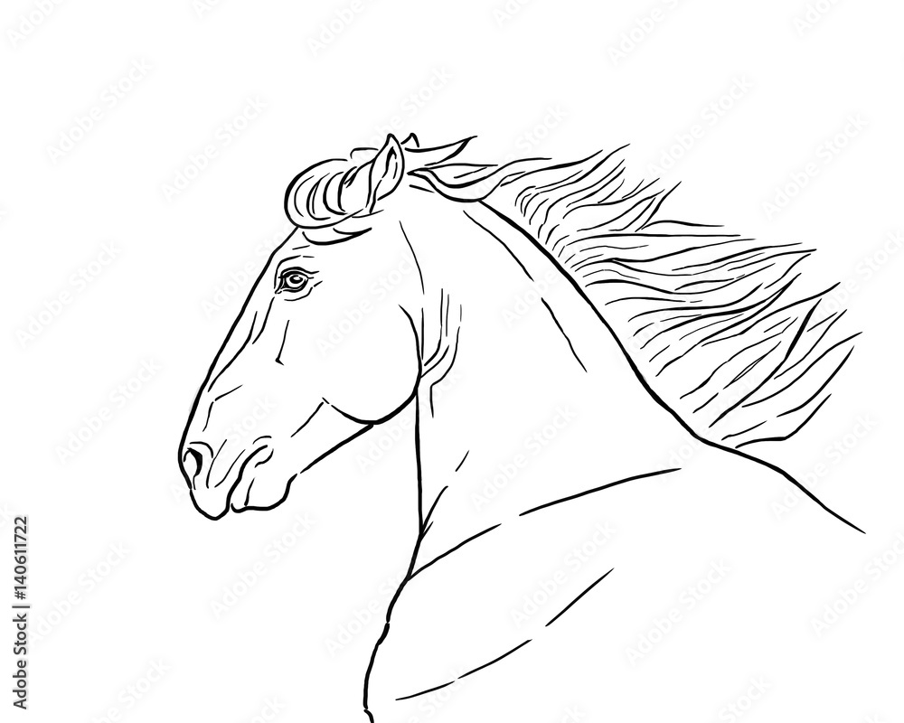 14 Easy Horse Drawing Tutorials for Kids