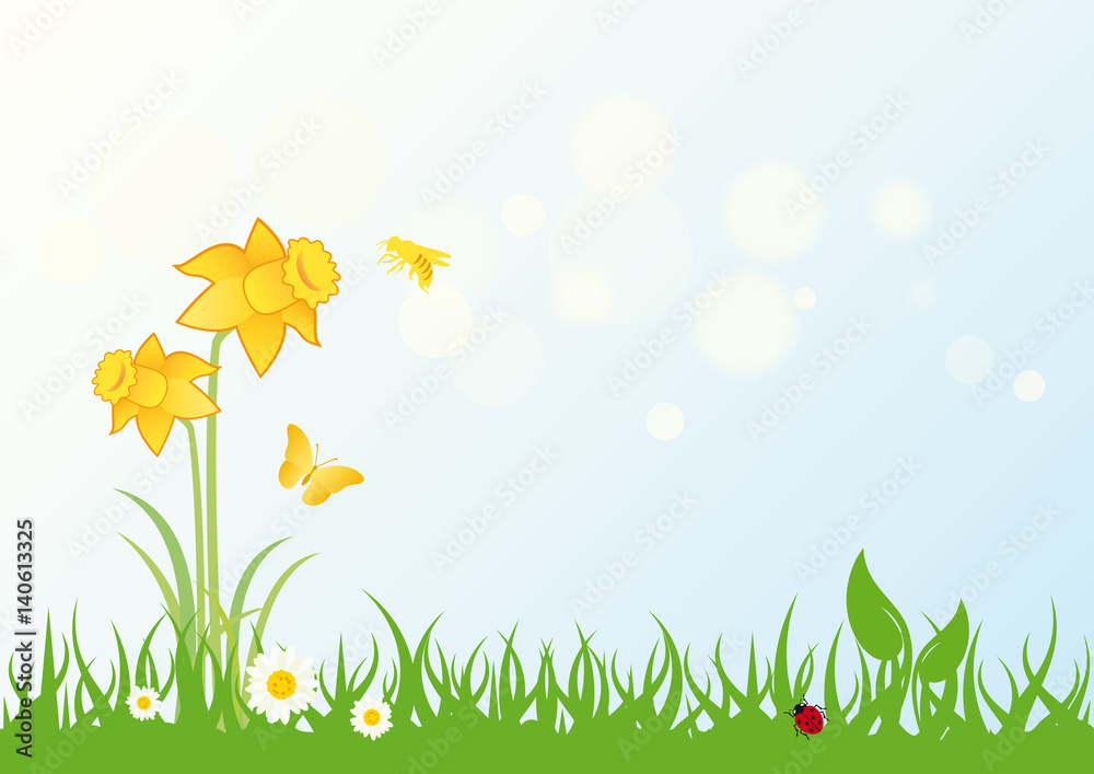 Spring landscape vector. Grass with daffodils. Vector illustration fresh nature