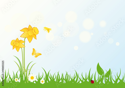 Spring landscape vector. Grass with daffodils. Vector illustration fresh nature
