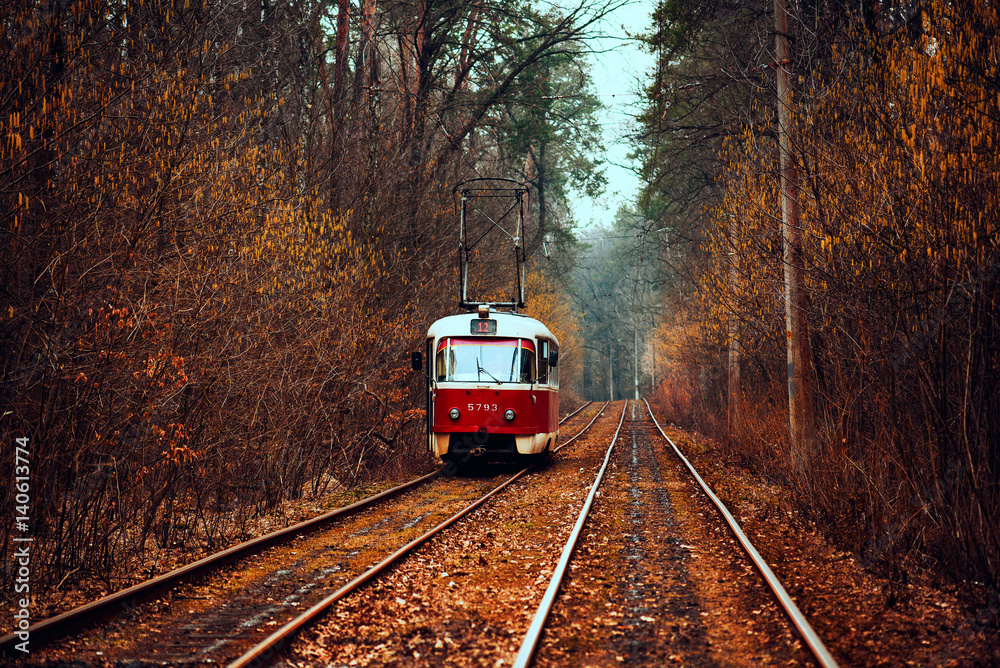 Vintage red tram running through the forest part of the city. Autumn background in the park in Kiev, Ukraine.