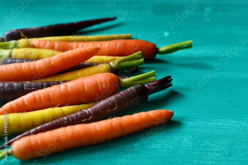 Fresh multicolored carrots on turquoise colored wooden background