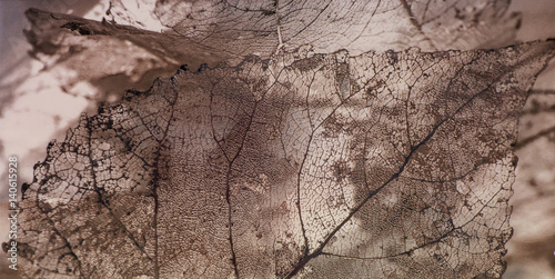 Tile, texture of leaves