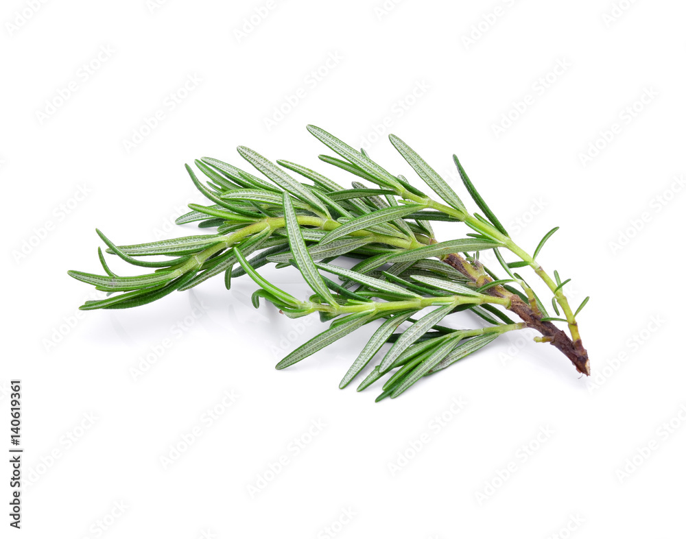 rosemary isolated on white background