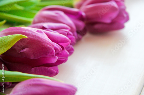 large buds of tulips on the table photo