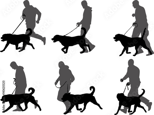 man training dog,preparing dog for exhibition silhouettes - vector