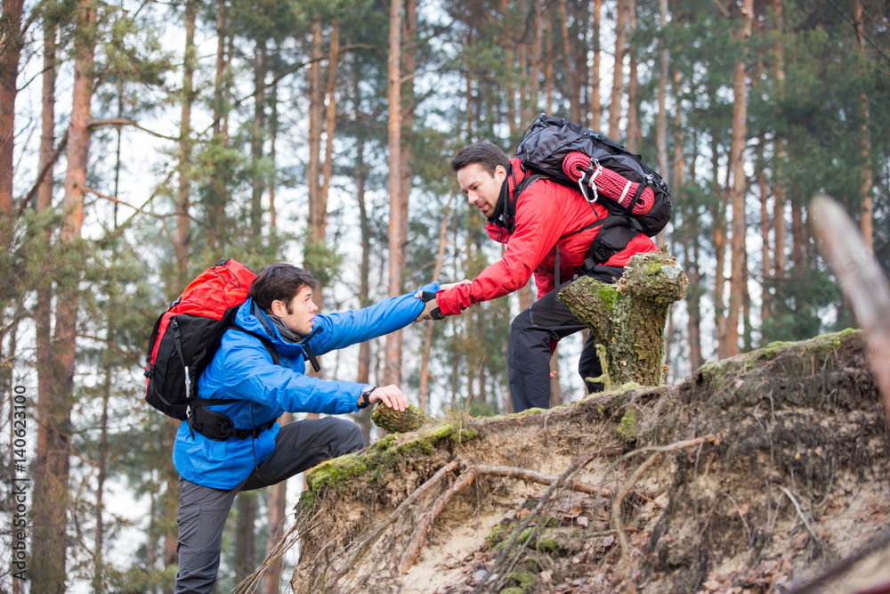 Young male hiker helping friend while trekking in forest Young male hiker helping friend while trekking in forest