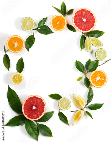 Circle of citrus fruits