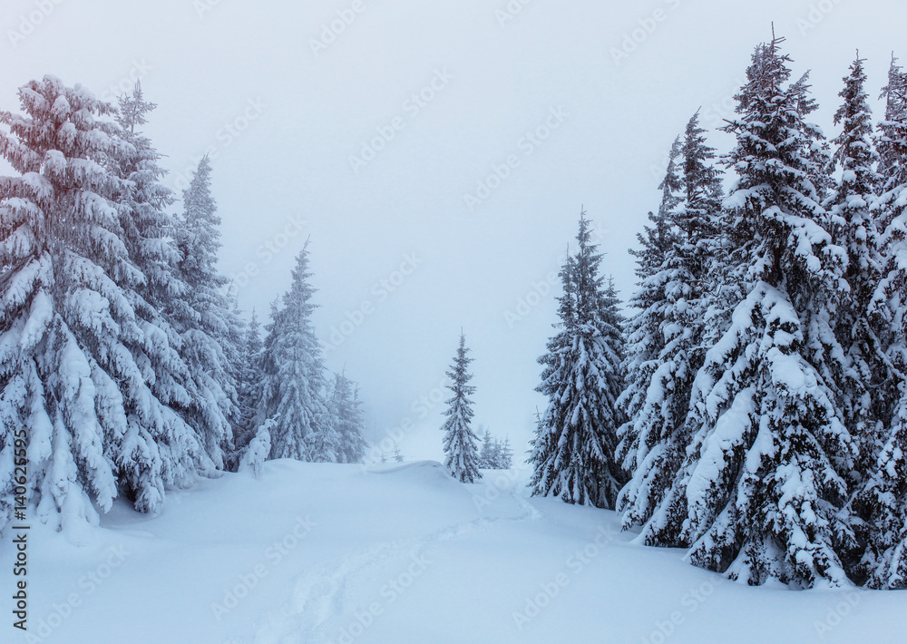 Mysterious winter landscape majestic mountains in . Magica Mysterious winter landscape majestic mountains in . Magica
