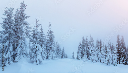 Mysterious winter landscape majestic mountains in . Magica