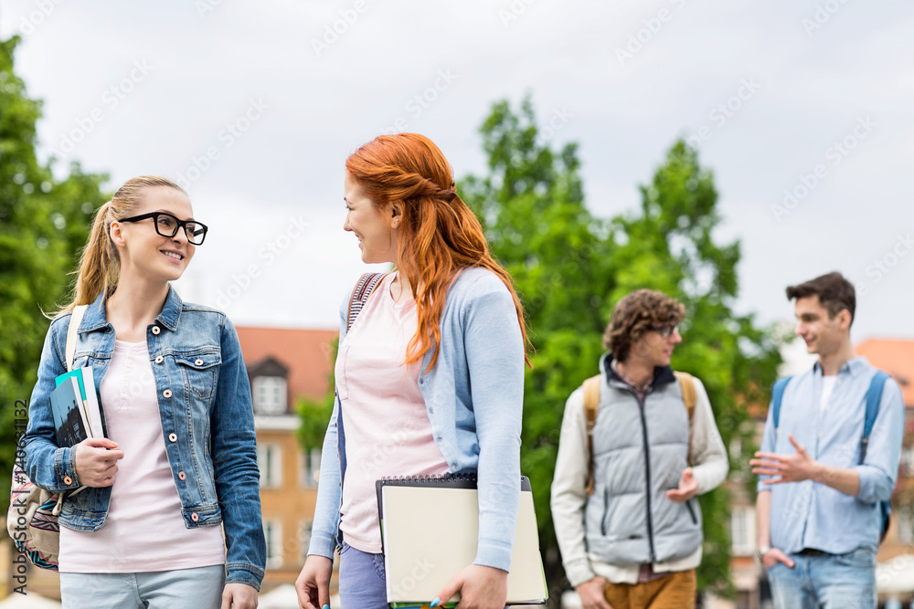 Naklejka premium Group of college friends walking outdoors