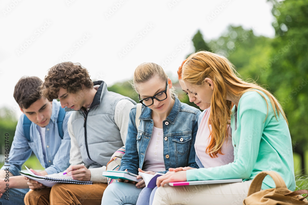 University students studying together in park University students studying together in park