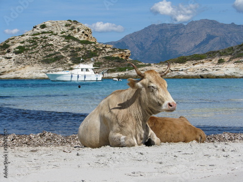 Sunbathing - Corsica - France