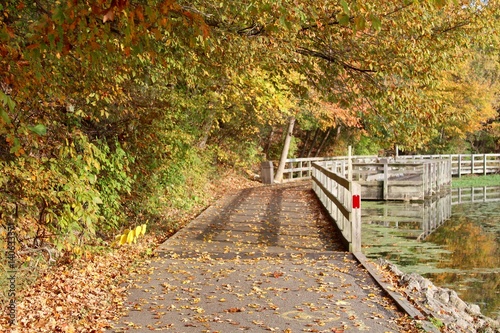 The autumn walkway in the park.