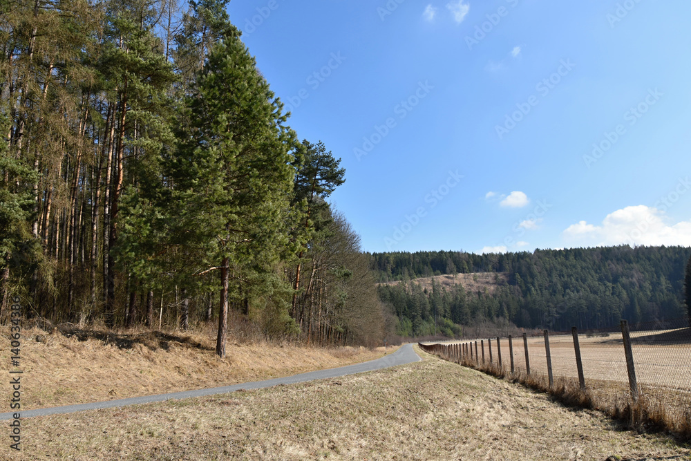 The road runs through the forest and meadow.