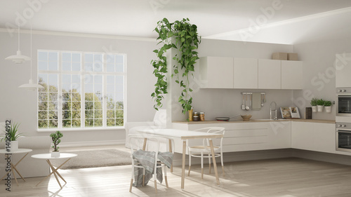 Scandinavian white minimalist living with kitchen  open space  one room apartment  modern interior design