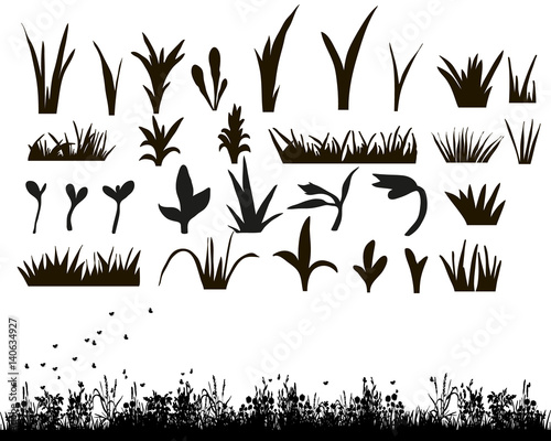 Vector  isolated  silhouette of grass