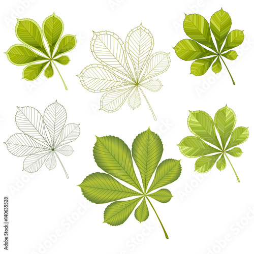 colorful mosaic chestnut leaves. isolated. easy to modify. vector illustration.