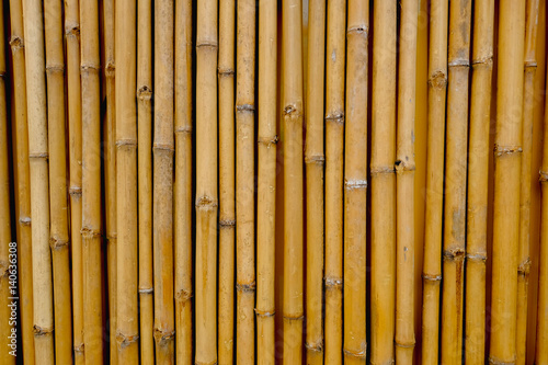 bamboo for background