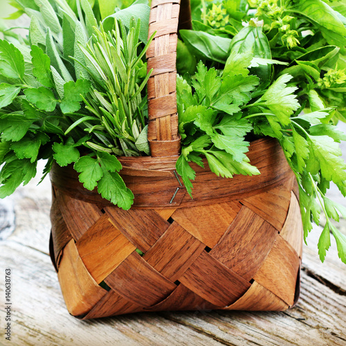 Basket with fresh herbs photo