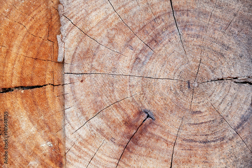 year rings of tree old weathered wood texture