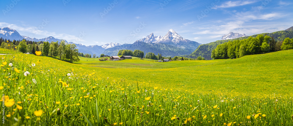 Fototapeta Idylliczny krajobraz w Alpach z kwitnących łąk w lecie