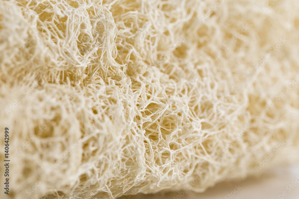 Dry Luffa, luffa sponge textured background. Dry Luffa, luffa sponge textured background.