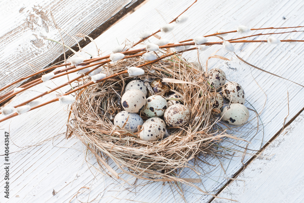 Obraz premium Colorful Easter quail Eggs with willow twigs on the white rustic wooden background in nest