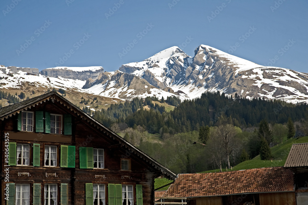 Schwarzhorn mountain. High in the Grindelwald valley.